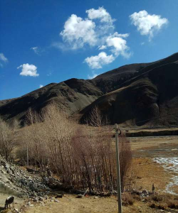 嘎普乡中心小学