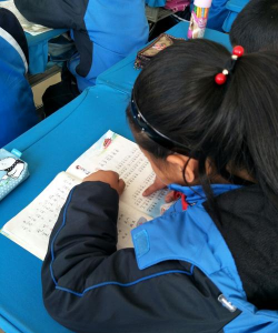 海子沟乡大有山学校