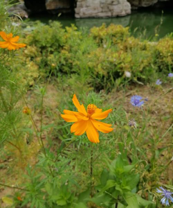 景泰县上沙窝中学