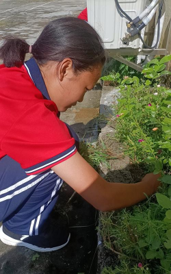 南投县信义乡同富国民小学