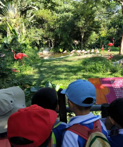 深圳依山郡小学