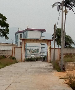 斗门镇中心小学