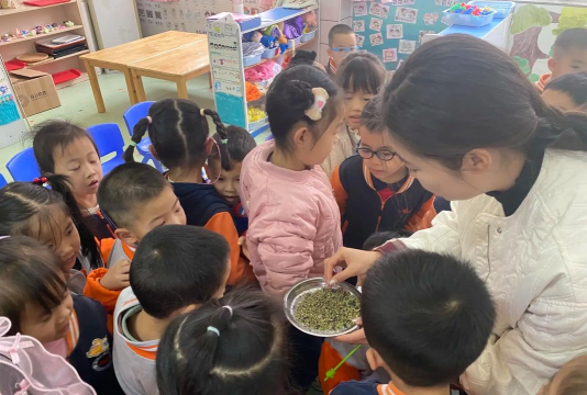 龙马潭区胡市镇来寺村幼儿园