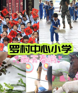 洛宁县罗岭乡前河村中心小学