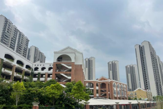 佛山市顺德区乐从颖林水藤学校