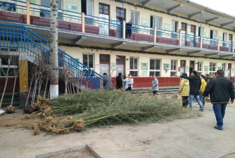 安阳县水冶镇小东关学校