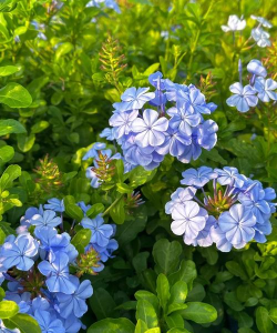 中山市南朗童话堡幼儿园