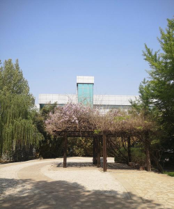 平乡县紫藤花艺术培训学校