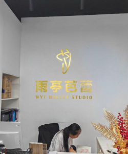 定兴县芭蕾王国文化艺术培训学校有限公司