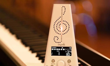 平果丁页尖节拍乐器有限公司