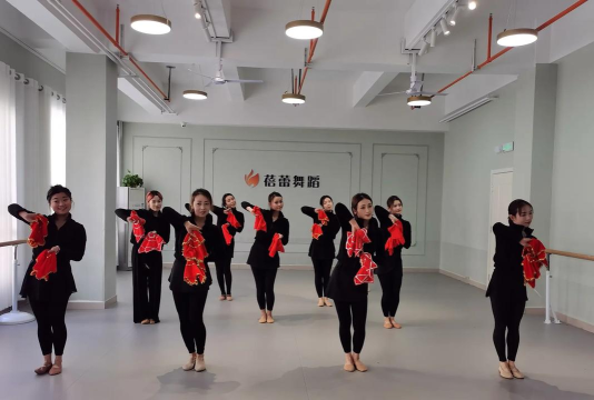 遵义市红花岗区昕晨蓓蕾舞蹈培训学校有限公司