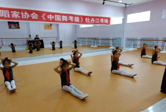 牡丹江市天姿艺德舞蹈培训学校有限公司