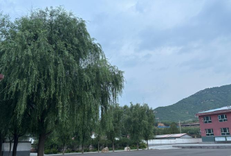 甘肃省国营小宛农场学校