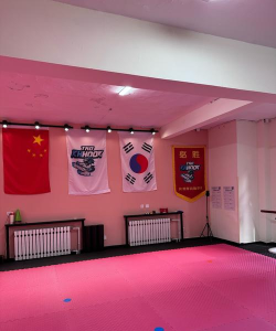 杭锦后旗陕坝镇博艺武道俱乐部