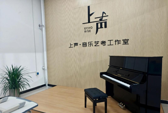 成都市武侯区朝晖之音艺术培训学校有限公司