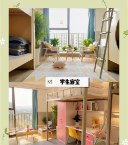 阜宁县风行美术培训有限公司