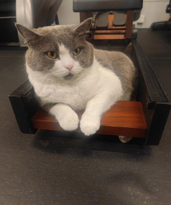 银川市兴庆区泰搏健身馆