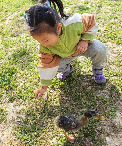 邻水县高滩镇石马河村丑小鸭幼儿园