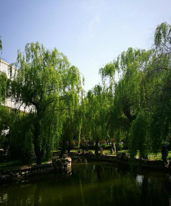 邹城市牛津国际世纪格林幼儿园