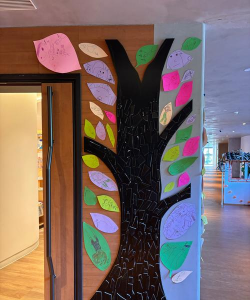 深圳市龙华区金宝宝幼儿园