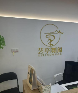 朝阳市龙城区东琪舞蹈培训中心有限公司