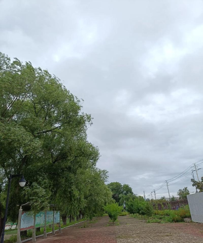 绥滨县二九O农场中学