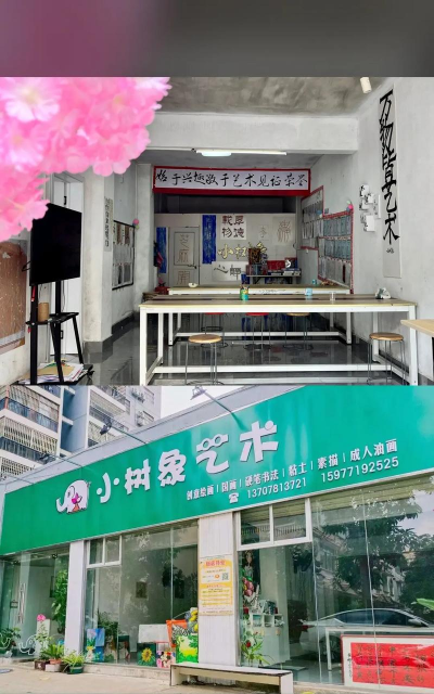 龙州县小树象艺术培训有限责任公司