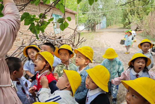 莱州市三山岛西北村幼儿园