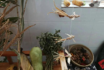 青白江区大同镇丰收村幼儿园