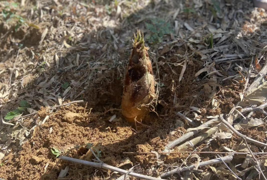 上新乡石笋村幼儿园