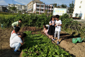 桐城市青草辅导小学