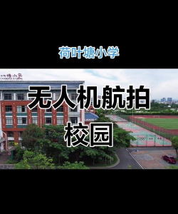 义乌市荷叶塘小学