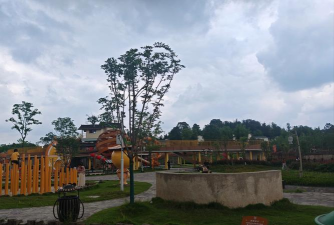 成都市武侯区桂溪长寿村长寿幼儿园