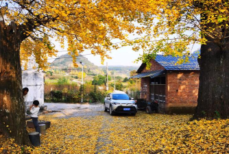 广西桂林市灵川县海洋乡初级中学