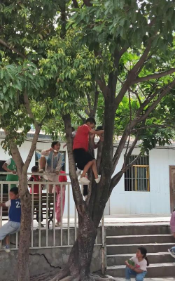 西昌市绿荫学校