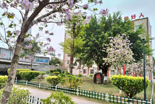 廉江市青平镇铺岭小学长青分教点