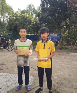 廉江市车板镇多浪小学龙头沙分教点