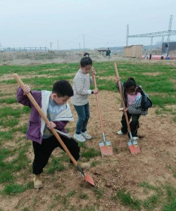 合肥市林店小学
