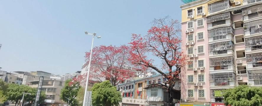 和平县阳明镇第一小学