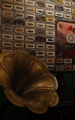 临沂市兰山区爱琴艺术培训学校有限公司