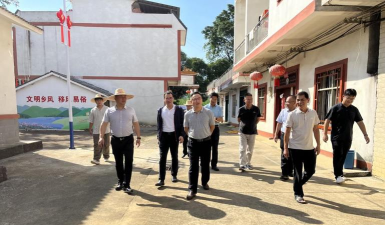 百色市田阳区致德围棋文化有限责任公司