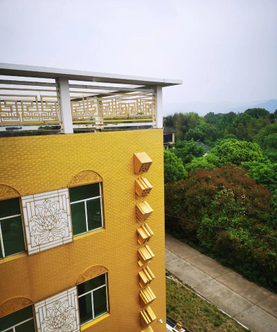 百色市右江区艺萌文化艺术传播中心