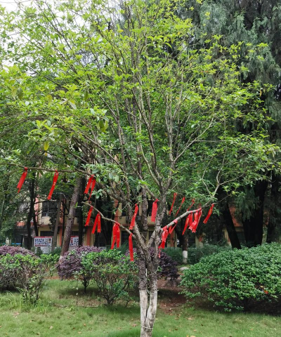 常德市武陵区世博教育培训学校有限公司