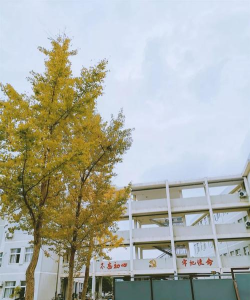 宁海县长街镇初级中学