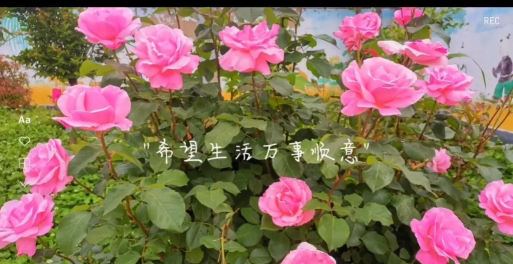 兴国县潋江明德小学