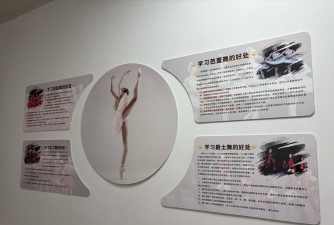 东莞市莞城至高舞尚艺术培训中心有限公司