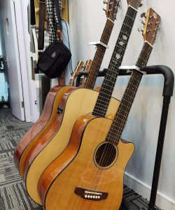 庆阳市西峰区树蕙学堂艺术培训学校有限公司