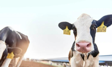 绍兴小牛健身有限公司