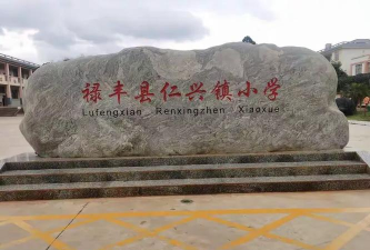 禄丰县仁兴镇中心小学