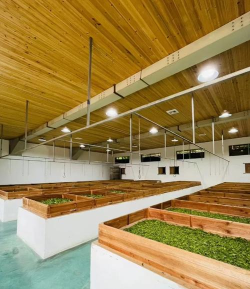 民勤县竹韵乐坊